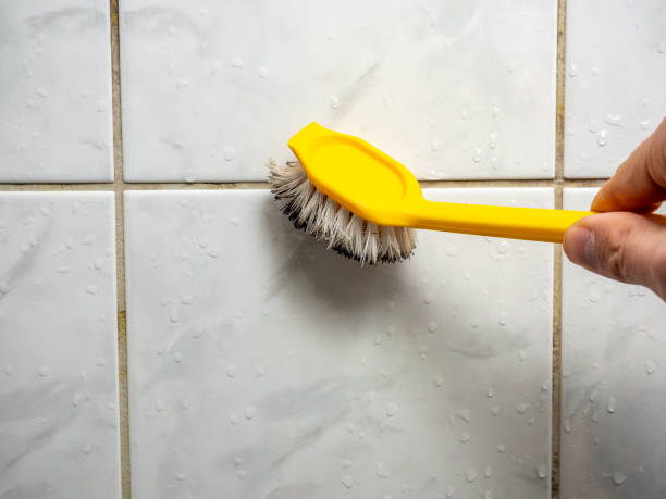 Best Industrial Mold Remediation in Yardville, NJ