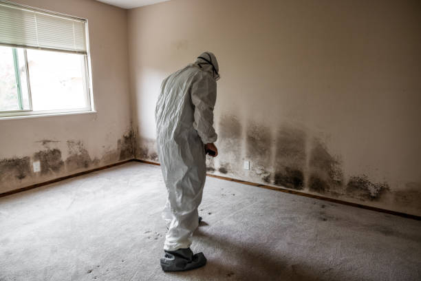 Best HVAC Mold Remediation in Yardville, NJ